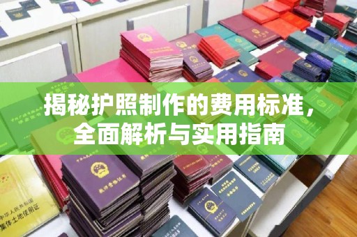 云和揭秘护照制作的费用标准，全面解析与实用指南