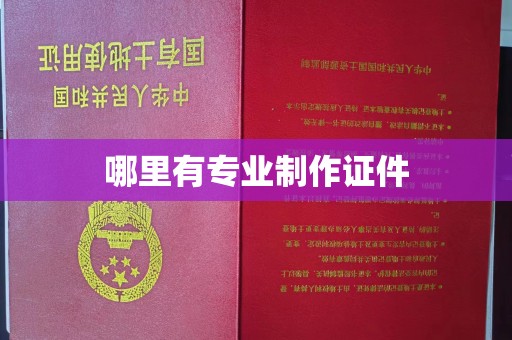 云和哪里有专业制作证件